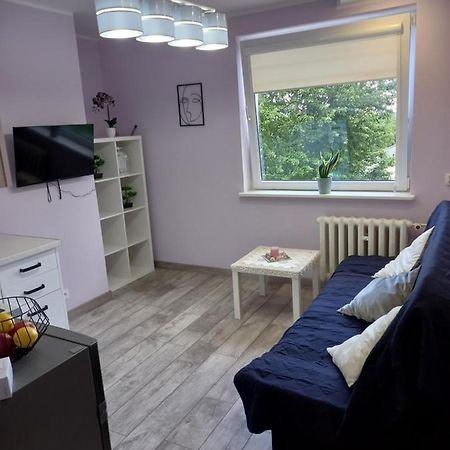 Mieszkanie 16M2 Gdansk Orunia Apartment Luaran gambar