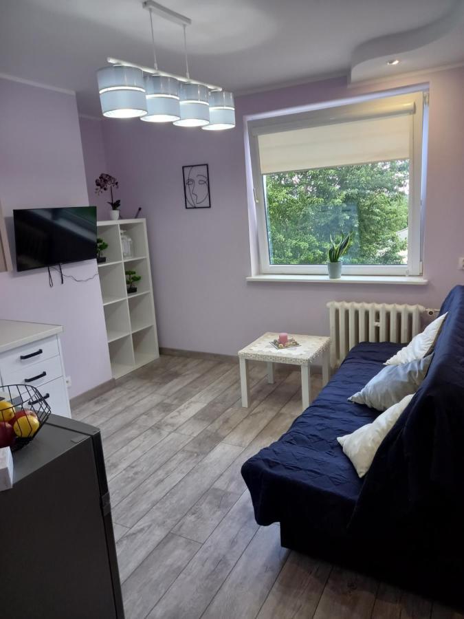 Mieszkanie 16M2 Gdansk Orunia Apartment Luaran gambar